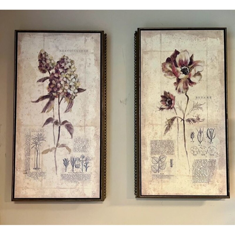 Lauren Hamilton Art in Motion Botanical Wall Art Pair 11x21 Hydrangea Anemone